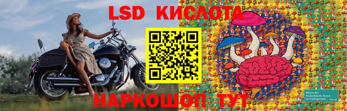 Кузнецк  Наркотические марки 1,5мг  Вход с VPN  Наркотические марки  Наркотические марки 1,5мг 