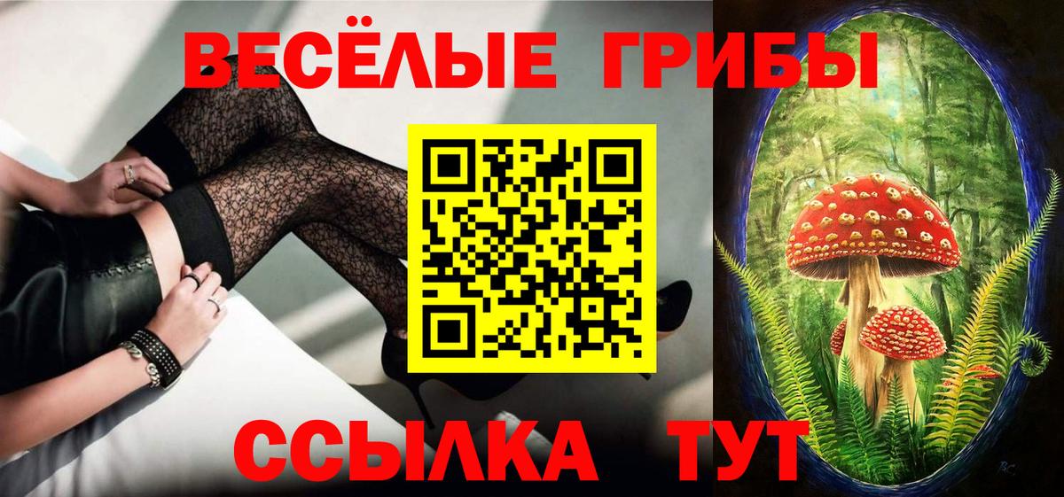 Галлюциногенные грибы Cubensis Кузнецк