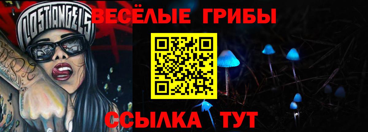 Псилоцибиновые грибы Psilocybe  Вход с VPN  Кузнецк  Галлюциногенные грибы MAGIC MUSHROOMS 